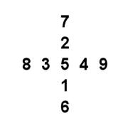 Numeric Symmetry